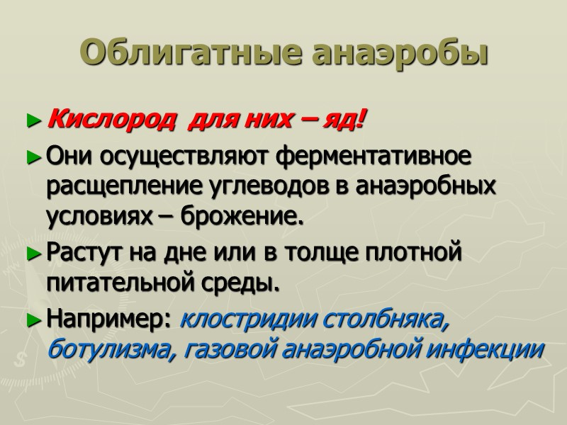 Облигатные анаэробы Кислород  для них – яд! Они осуществляют ферментативное расщепление углеводов в